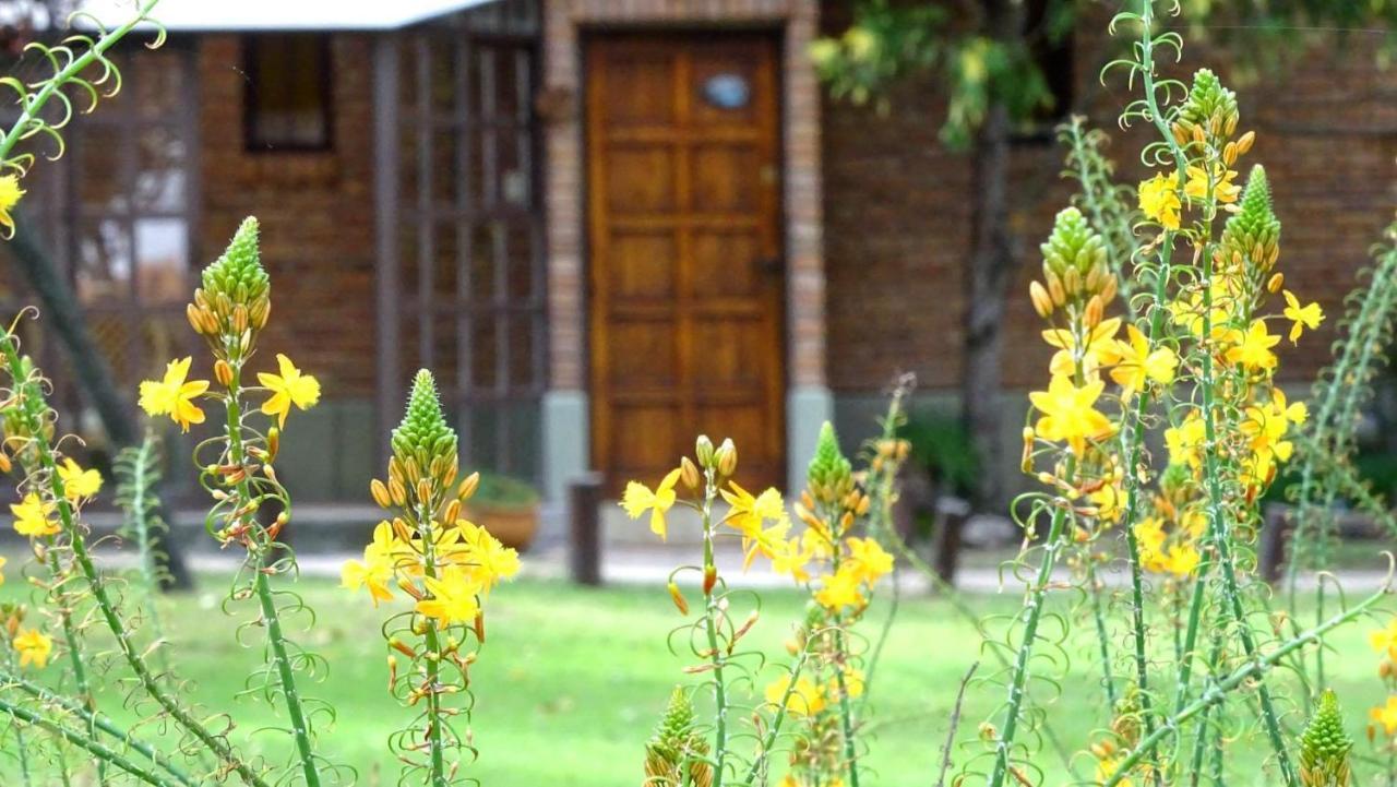Cabañas Agua que Brilla Mina Clavero Exterior foto